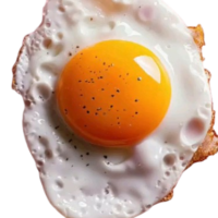 Oeuf